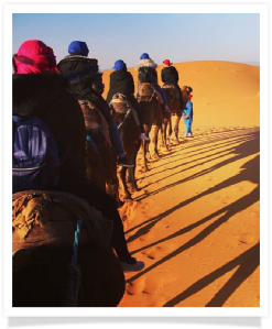 Merzouga desert is attractive for tourists for its unique sand dunes. Explore this area with us and have great adventure !